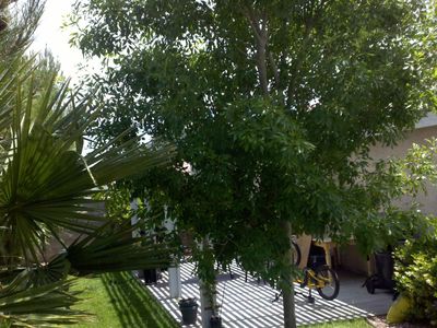 3202 English Colony Ct, North Las Vegas, NV, 89031