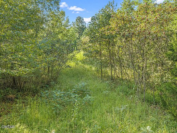4th image of 0 Horny Head Creek Rd