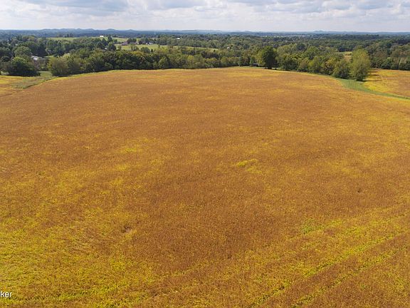 3rd image of 4900 Springfield Rd