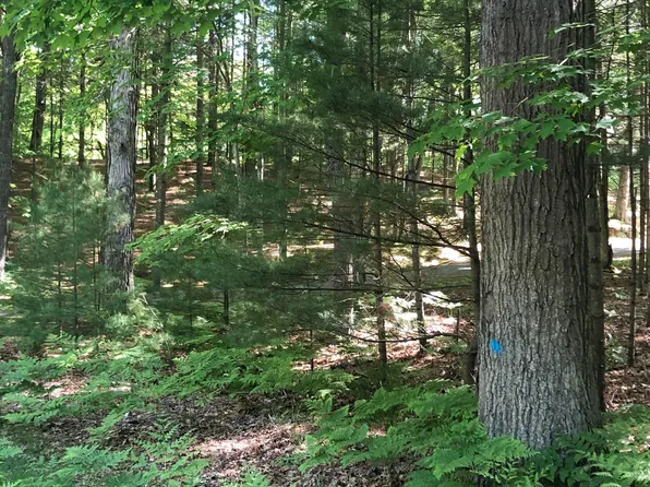 Vl W Sunset Ave, Pentwater, MI 49449