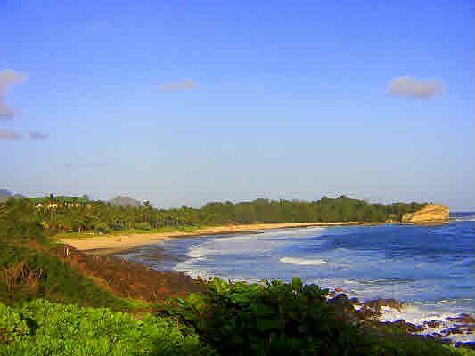 Walk to Shipwrecks Beach and Grand Hyatt Resort