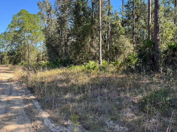0 PHILLIPS Road, Interlachen, FL 32148