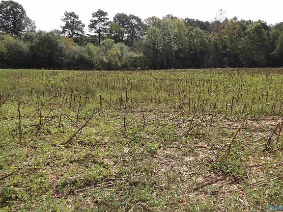 3rd image of 2073 County Road 111