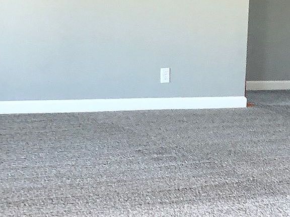 Freshly cleaned carpet