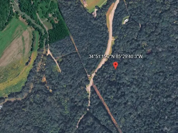 0 State Route 136 #4899, Rising Fawn, GA 30738