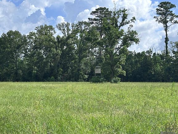 3rd image of 42420 Moody Dixon Rd