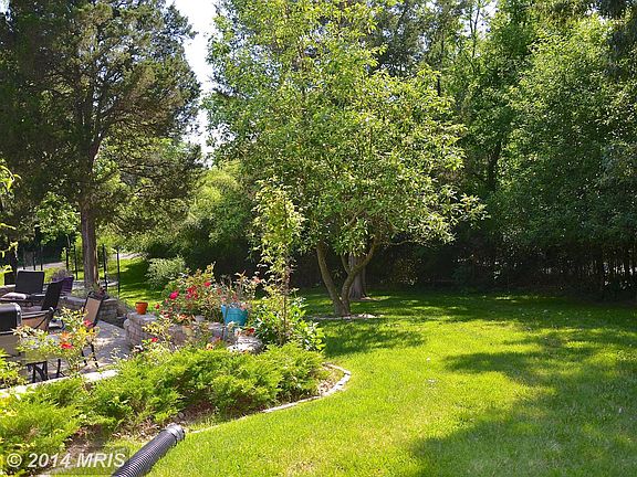 3rd image of 1810 Hollindale Dr
