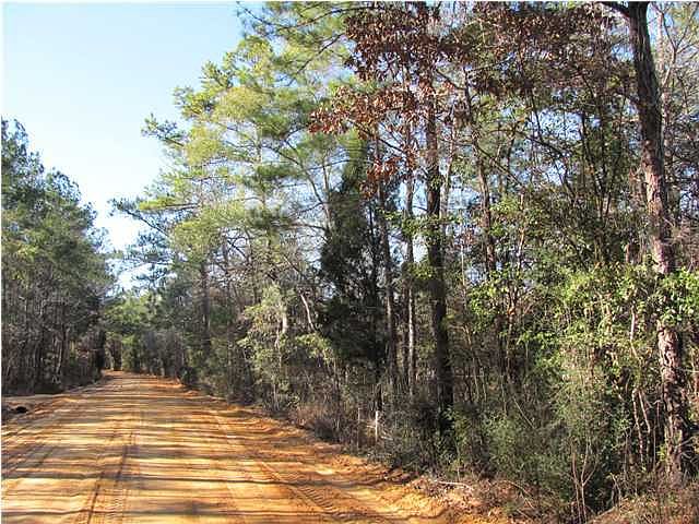 2nd image of 114 Ac Crooked Creek Rd