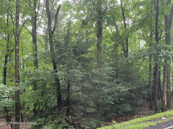 1313 Lenape Trl, Albrightsville, PA 18210