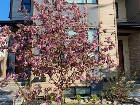 91 NW Wolf Hollow Park SE, Calgary, AB T2X 4M8