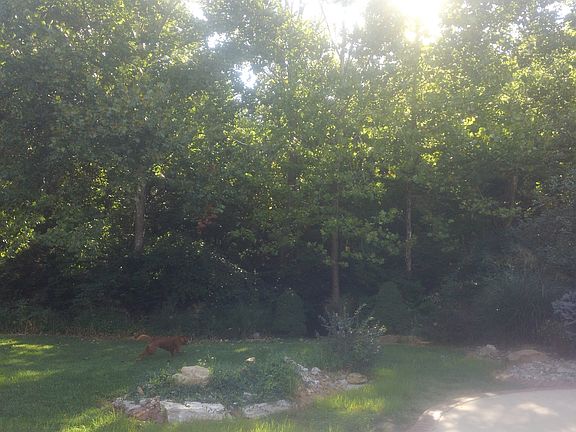 4th image of 804 Hopp Hollow Dr