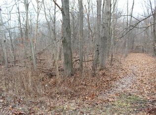 0 Hoes Hill Rd, Conesus, NY 14435