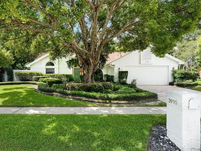 3995 Haynes Cir, Casselberry, FL, 32707