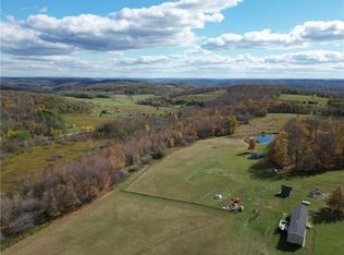 1748 Leonard Rd, Troupsburg, NY 14885