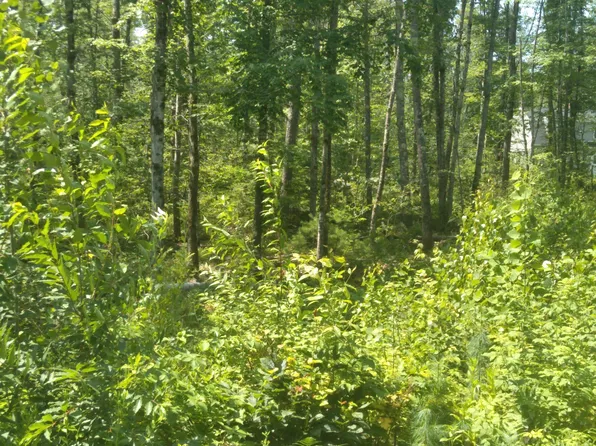 Lot #1 Harry Howes Road, Sanford, ME 04073