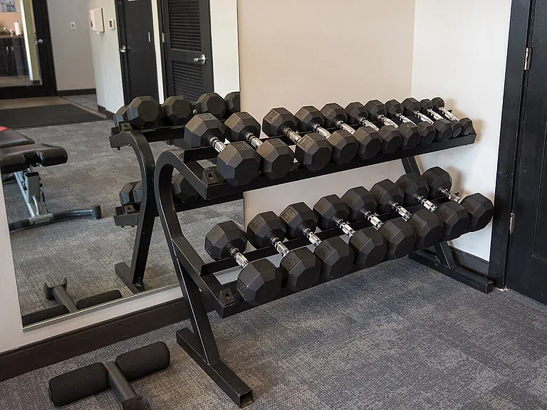 Free Weights