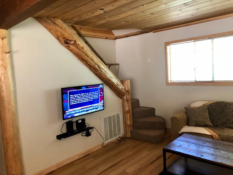 internet enabled new TV