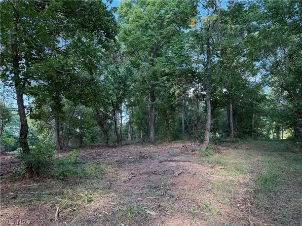 0 Fisher Ridge Rd Tract 5, Fleming, OH 45729