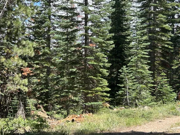 48 Liberty Rd, Arnold, CA 95223