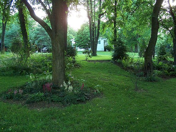 View of landscaping in the front yard.