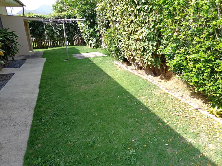 Backyard