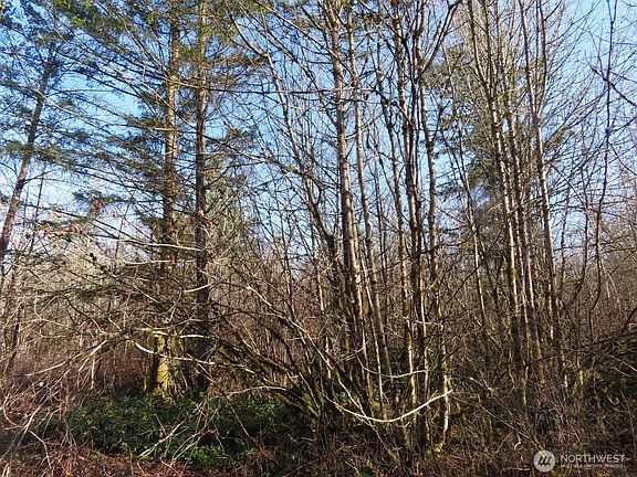 5th image of 115 Campground Lane