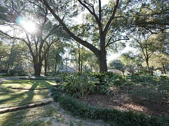3rd image of 11586 Dueling Oaks Dr