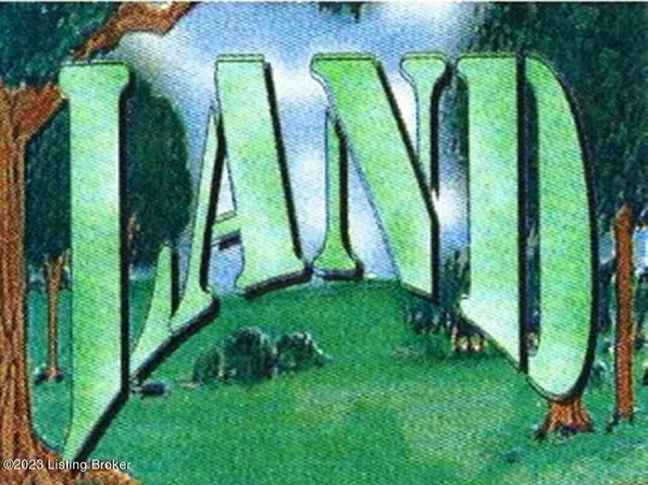 911 Primrose Ln, Brandenburg, KY 40108