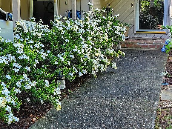 2nd image of 91 Diamond Ridge Ln