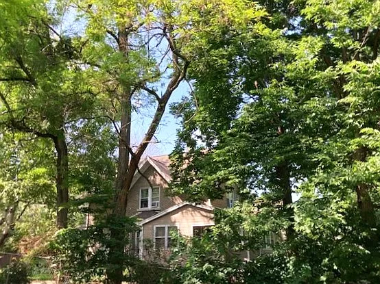 Side Vw, Mature Trees