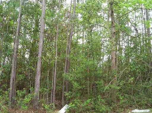 Beautiful lot priced right!