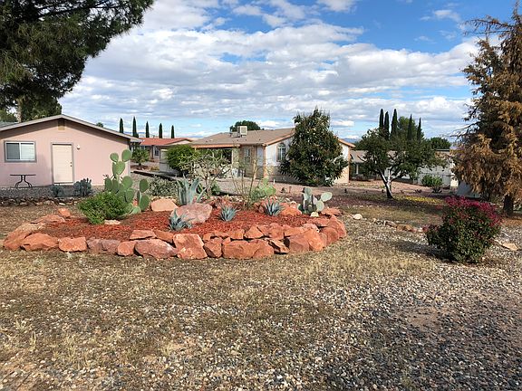 Lovely cactus garden