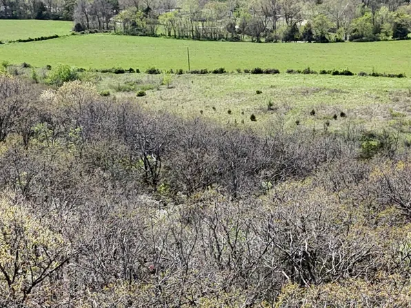 Lot #2 Coral Fountains, Golden, MO 65658