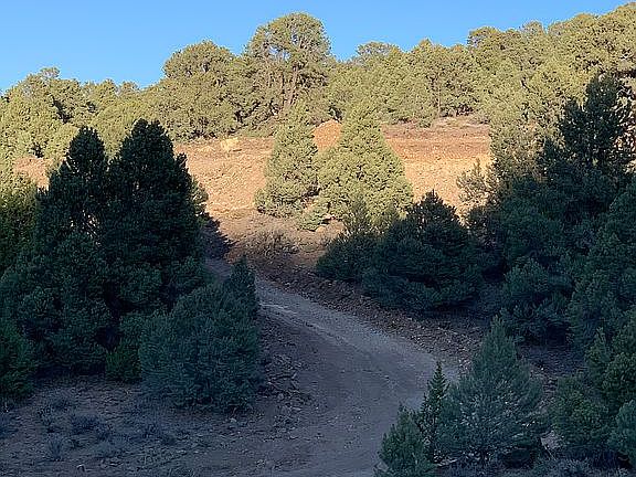 Driveway and building site