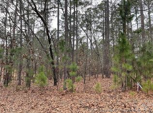 30300 W Lake Dr, Wagram, NC 28396