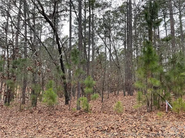 30300 W Lake Dr, Wagram, NC 28396