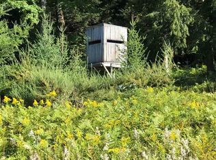 11502 S 39th Rd, Cadillac, MI 49601