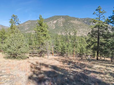 1384 E Bouteloua Bnd #11, Flagstaff, AZ, 86001