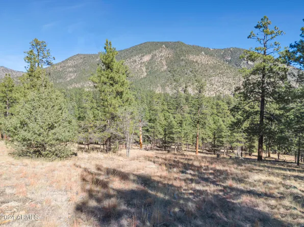 1384 E BOUTELOUA Bend #11, Flagstaff, AZ 86001