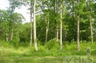 1st image of 1211 Braeburn Dr