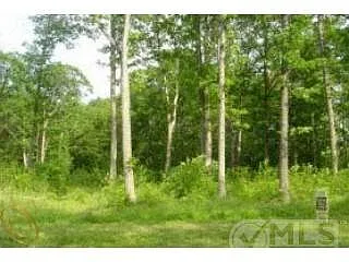 1211 Braeburn Dr photo 1