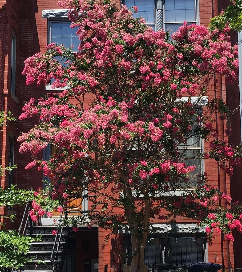640 E St NE — Photo 1