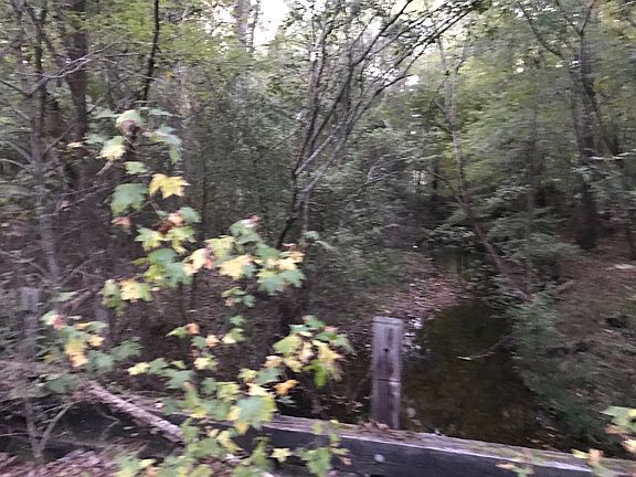 4th image of 151 Acres Hwy #84