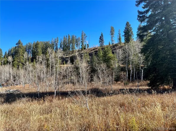 56720 Lupine Ct, Clark, CO 80428