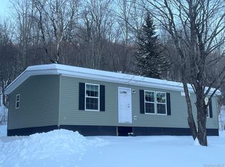 317 Debruce Rd, Livingston Manor, NY 12758