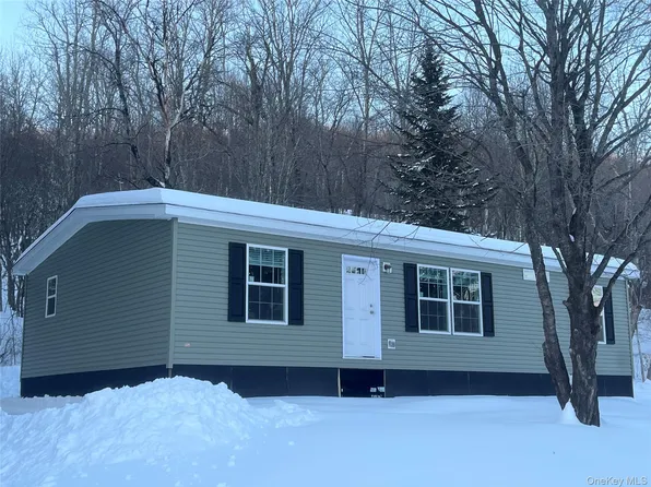 317 Debruce Road, Livingston Manor, NY 12758