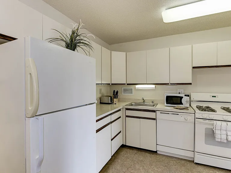 Kitchens with plenty of storage