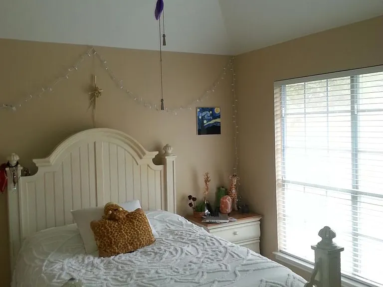 2nd Bedroom, Designer Color Paint Throughout