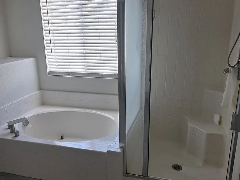 Master Bathtub and Shower
