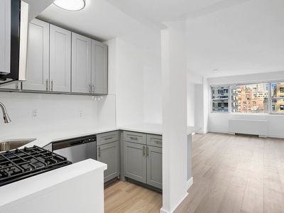 321 E 48th St APT 11L, New York, NY, 10017